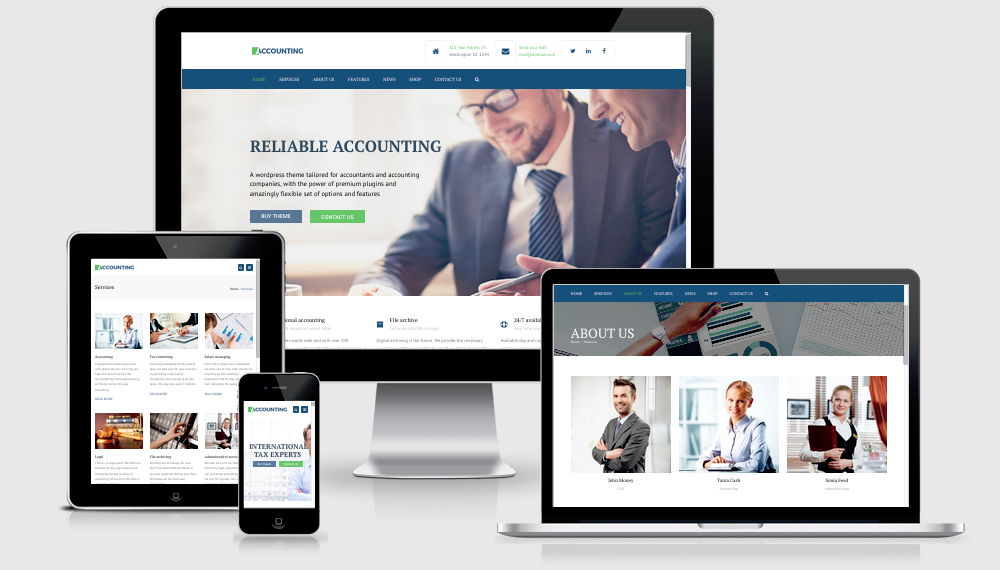 Public Accounting Website Design
